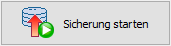 Sicherung starten